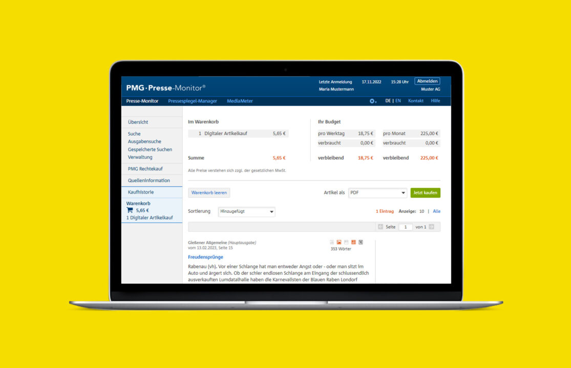Budgetplanung im PMG-Portal mit gelbem Hintergrund