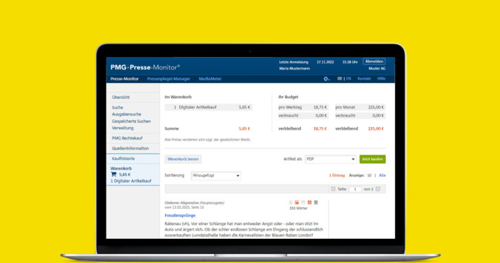 Budgetplanung im PMG-Portal mit gelbem Hintergrund